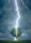 Puzzle: Scenic Photography - Lightning Striking Tree