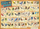 Puzzle: Great American Outdoors - State Birds