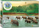 Puzzle: Save Our Planet Puzzles - Rainforest