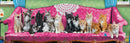 Puzzle: Panoramic Puzzles - Kitty Cat Couch