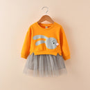 New spring infant skirt 1 long sleeved dress 2 female baby cartoon 3 4 princess dress lace dress tide
