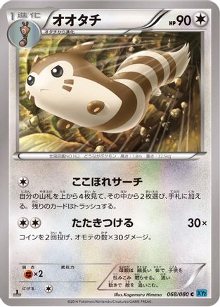 Furret (068/080) - XY2 Wild Blaze Unlimited