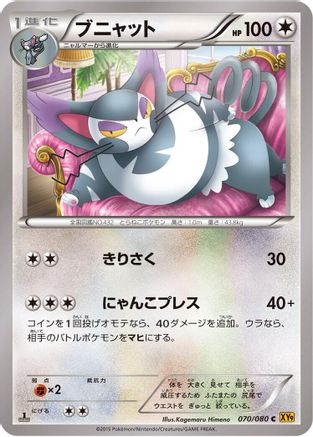 Purugly (070/080) - XY9 Rage of the Broken Heavens Unlimited