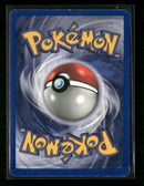 Jungle Kangaskhan (5) Unlimited #05/64
