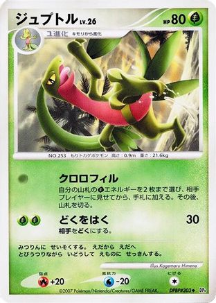 Grovyle  - DP4 Dawn Dash Unlimited