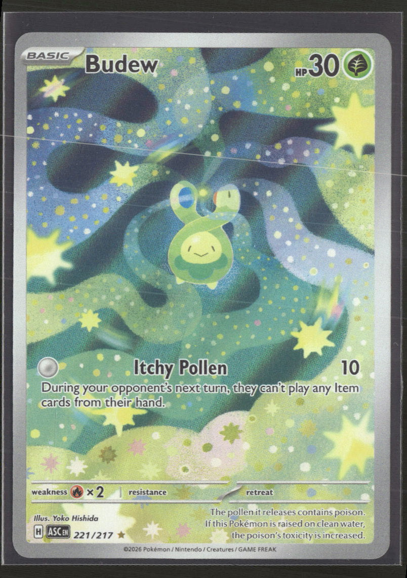 pokemon budew card Budew