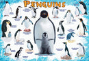 Puzzle: Educational Charts for Kids - Penguins