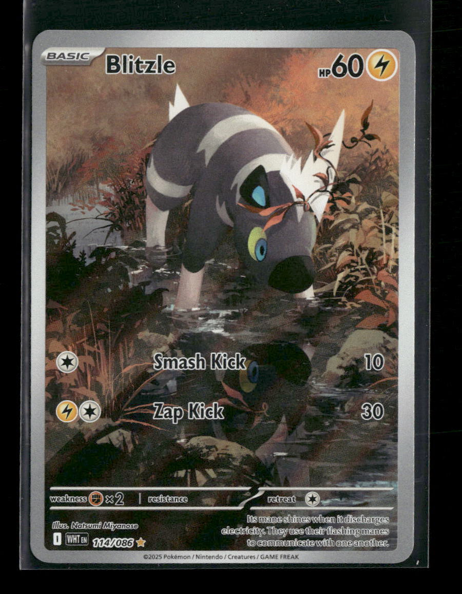 SV: White Flare Blitzle #114/086