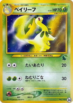 Bayleef (24) - Intro Pack Neo Chikorita