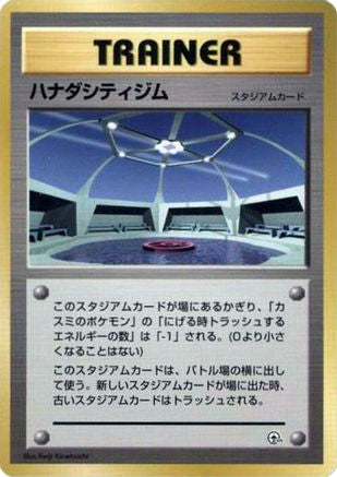 Cerulean City Gym  - City Gym Decks