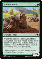 Pothole Mole (DFT-176) - Aetherdrift Foil
