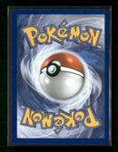 SV08: Surging Sparks Phanpy #205/191