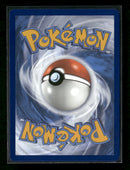 SV: Scarlet & Violet Promo Cards Greninja ex #132