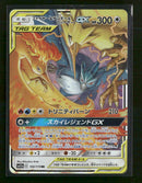 SM12a: TAG TEAM GX: Tag All Stars Moltres & Zapdos & Articuno GX #102/173