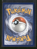 SWSH: Sword & Shield Promo Cards Charizard V #SWSH260