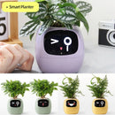 Smart AI Planter with Expressions and Sensors