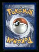 ME: Mega Evolution Promo Tepig #050