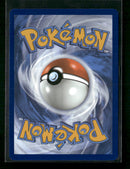 SV: White Flare Tepig #096/086