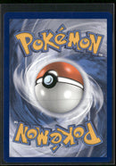 SWSH: Sword & Shield Promo Cards Charizard V #SWSH260