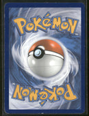 SWSH: Sword & Shield Promo Cards Eevee V #SWSH065