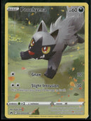 SWSH: Crown Zenith: Galarian Gallery Poochyena #GG33/GG70