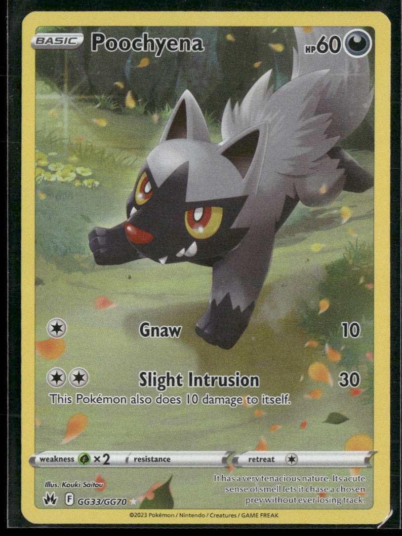 SWSH: Crown Zenith: Galarian Gallery Poochyena #GG33/GG70