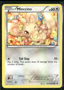 Legendary Treasures: Radiant Collection Minccino #RC18/RC25
