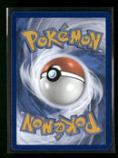 SWSH: Sword & Shield Promo Cards Lucario VSTAR #SWSH291