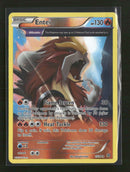 XY - Ancient Origins Entei (15) Reverse Holo #15/98