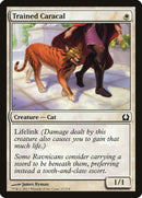 Trained Caracal | 27 | Return to Ravnica