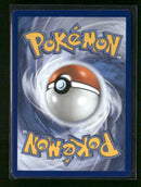 ME05: Pitch Black Morpeko ex #117/084