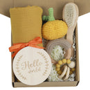 Baby Teething Toys Teether Gift Set