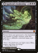 Agadeem's Awakening // Agadeem, the Undercrypt (ZNR-090) - Zendikar Rising