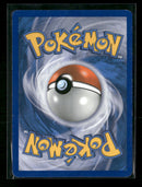 HGSS Trainer Kit: Gyarados & Raichu Raichu (#30 Holo) #30/30