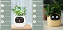 Smart AI Planter with Expressions and Sensors