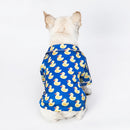 New Dog Clothes Autumn And Winter Cat Clothes