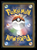 S-P: Sword & Shield Promos Charizard #143/S-P