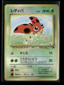 Southern Island Ledyba #