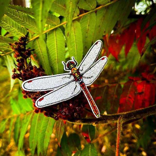 Akiakane Red Darter Dragonfly Iron-on Patch