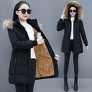 Detachable Hooded Mid-Length Padded Coat With A Big Fur Collar