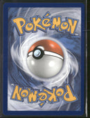 SWSH: Sword & Shield Promo Cards Charizard V #SWSH260