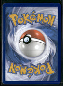 SWSH: Sword & Shield Promo Cards Lucario VSTAR #SWSH291
