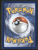 ME05: Pitch Black Mega Darkrai ex #116/084