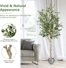 6 Feet Artificial Olive Tree in Cement Pot