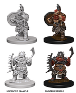 Pathfinder: Deep Cuts - Dwarf Male Barbarian