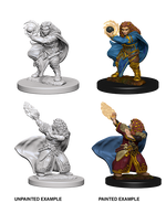 D&D: Nolzur's Marvelous Miniatures - Dwarf Female Wizard