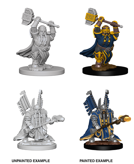 D&D: Nolzur's Marvelous Miniatures - Dwarf Male Paladin