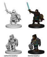 D&D: Nolzur's Marvelous Miniatures - Dwarf Female Paladin