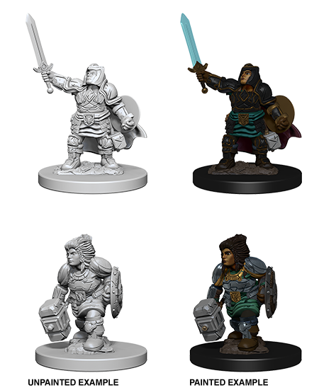 D&D: Nolzur's Marvelous Miniatures - Dwarf Female Paladin