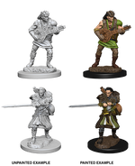 D&D: Nolzur's Marvelous Miniatures - Human Male Bard